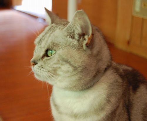 DSC_0157.JPG