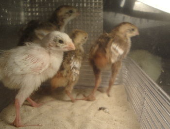 2013/05/22(2)