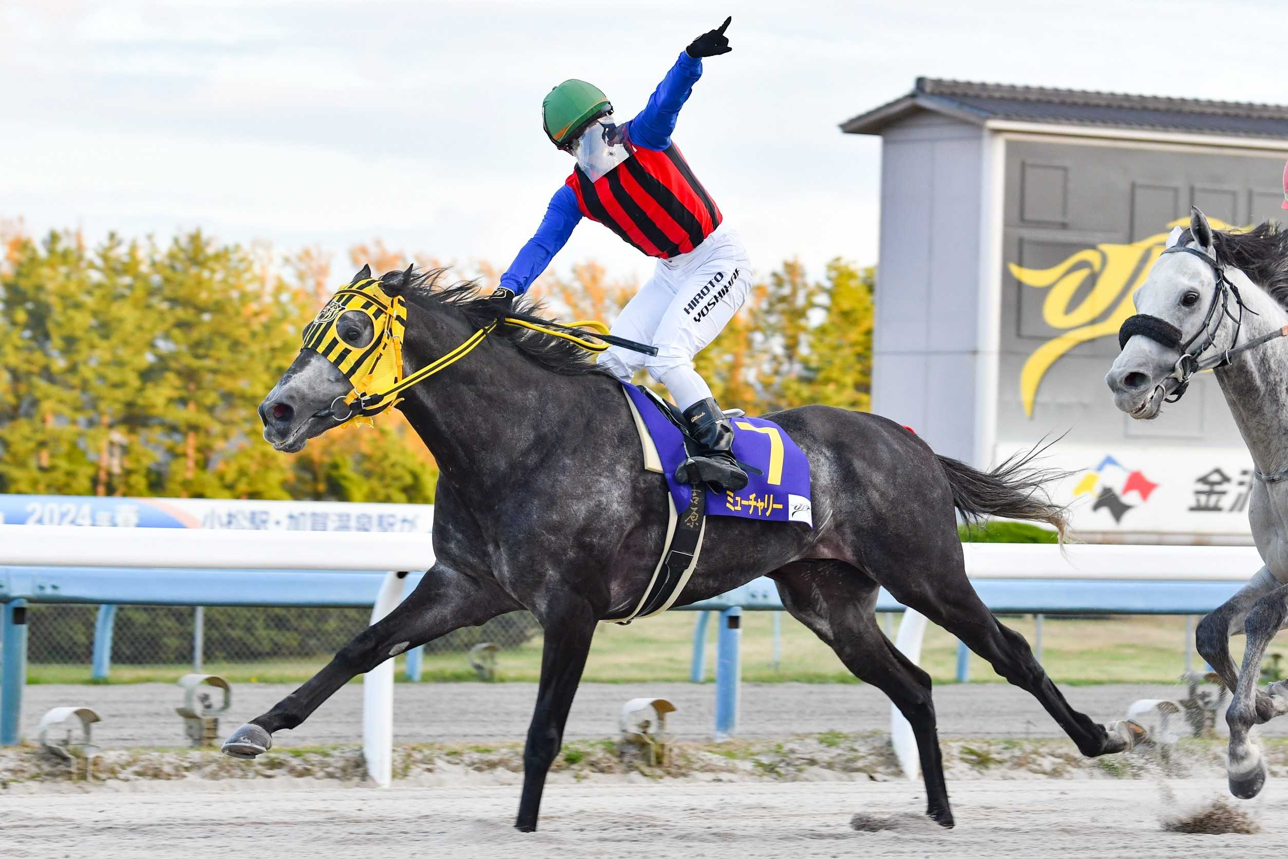 記事一覧 地方競馬の楽天競馬 日替わりライターブログ 楽天ブログ