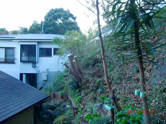 ランチと裏庭の手入れ 025.jpg