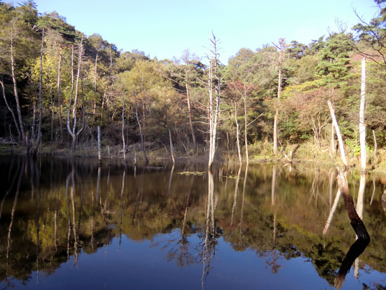 奥の横池