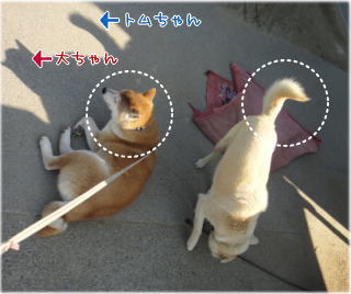 ふたりのかげ1.jpg