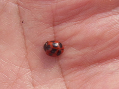 conv0588.JPG