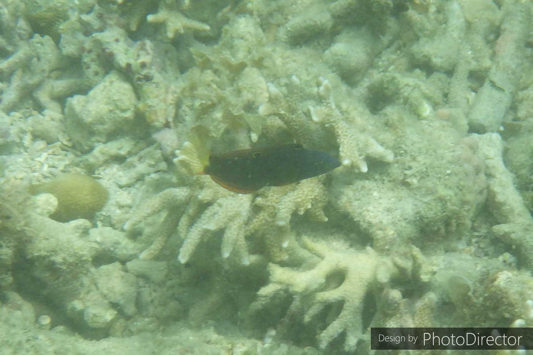 2ページ目の記事一覧 ねこログ 楽天ブログ