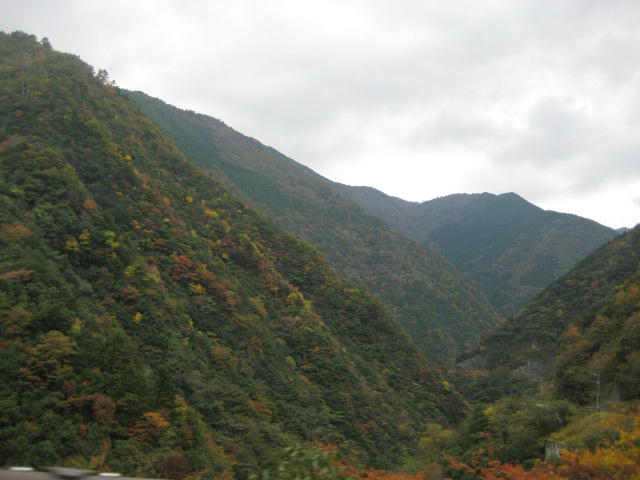 IMG_9814.JPG