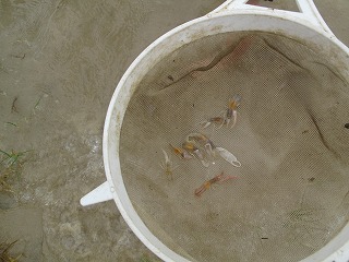 IMG_5305.jpg
