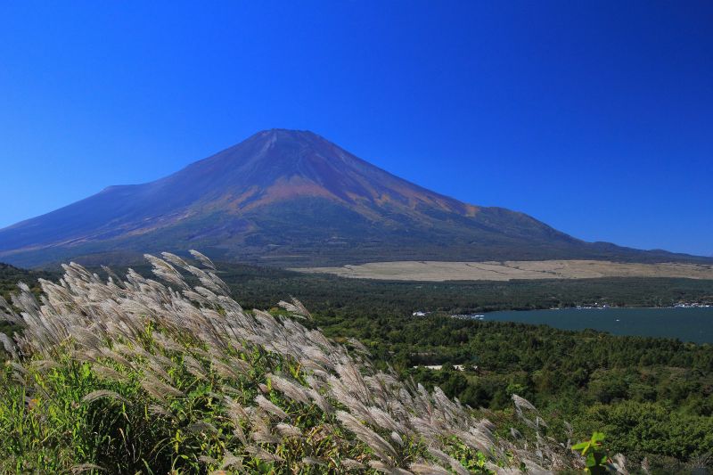 山中湖と富士山_004.jpg