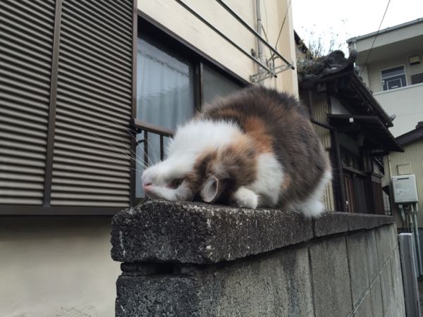 rblog-20160425153725-03.jpg