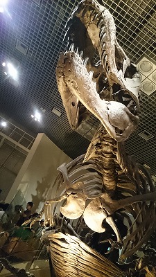 ９／２１　国立科学博物館