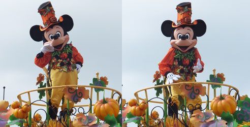 2014HHHarvest39