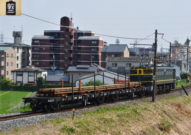 DSC_4535.JPG