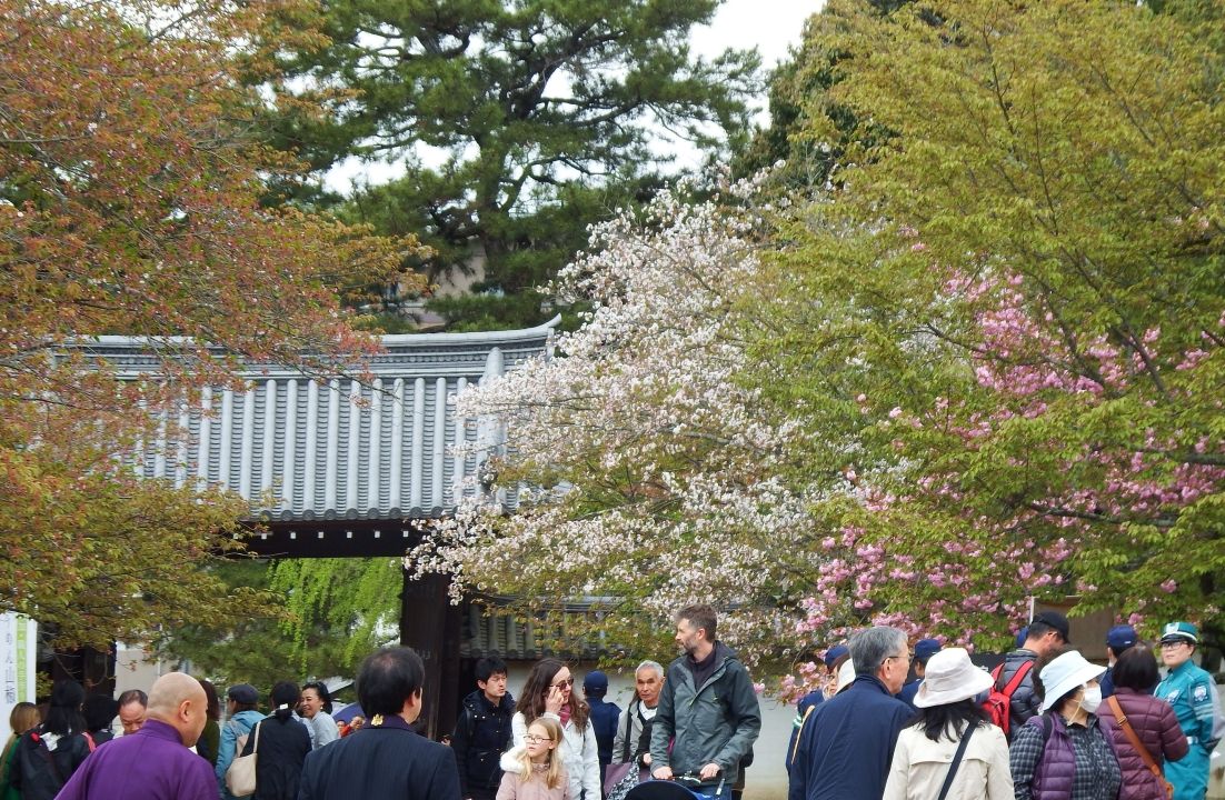 賑々しく豊太閤花見行列 京都 醍醐寺 お散歩うさぎさんのブログ 京都 いろ色 楽天ブログ