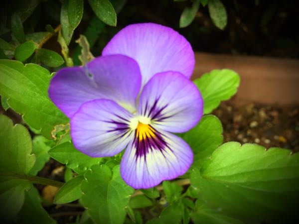 rblog-20151029140616-03.jpg