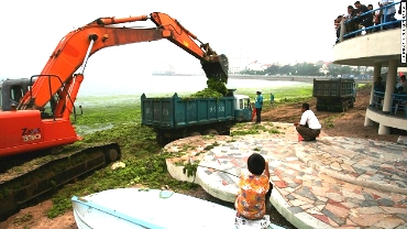 china-algae-05-horizontal-.jpg