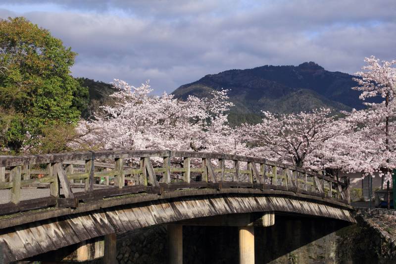 嵐山_003.jpg