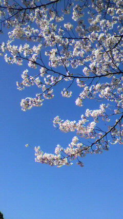2012040115490000.jpg