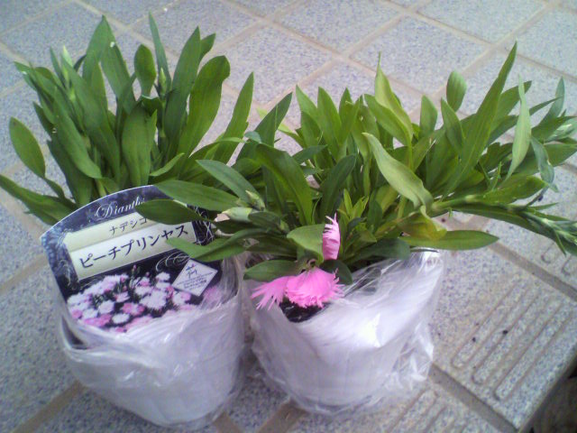 2012112116180000.jpg
