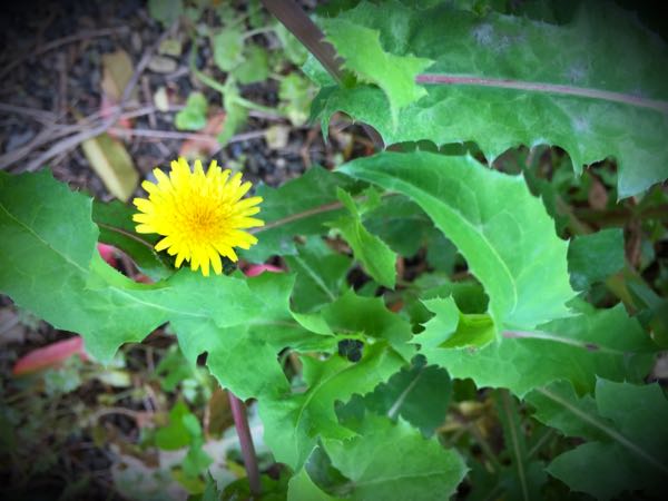 rblog-20160331165931-01.jpg