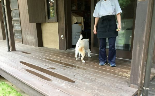 rblog-20161026205446-01.jpg