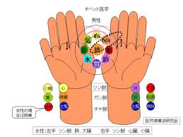 imagesCASU096Z.jpg
