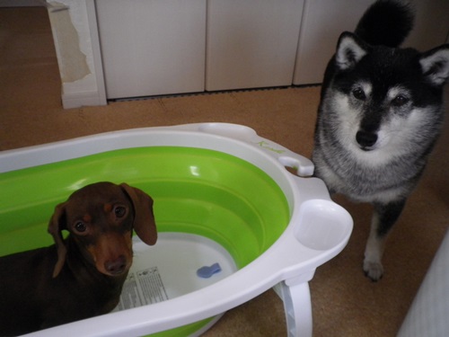 シュミレーション中