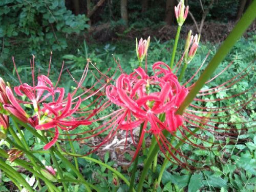 rblog-20180908001510-01.jpg