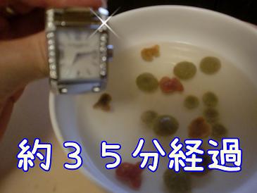 ３５.JPG