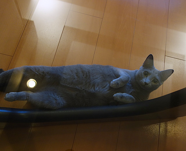 2014081102