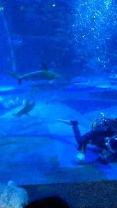 rblog-20130818220538-01.png