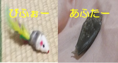 20121114_9.jpg