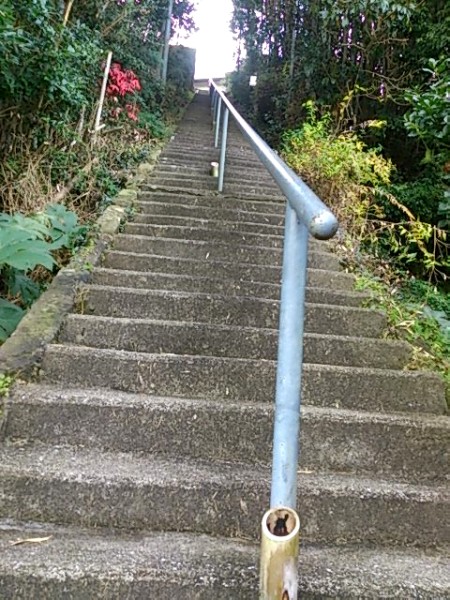 DSC_3009急な階段１０８段.jpg