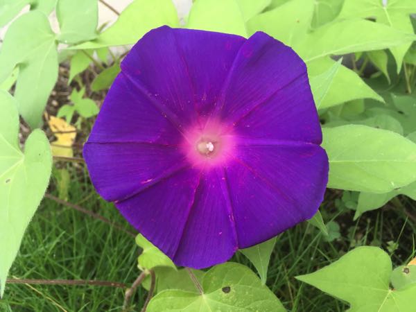 rblog-20170808130531-01.jpg