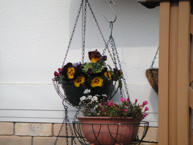 DSC05687.JPG