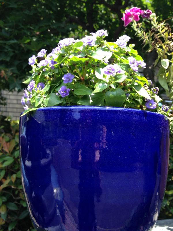 rblog-20140725144812-03.jpg