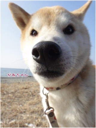 0117昼1.jpg