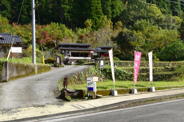 のどか