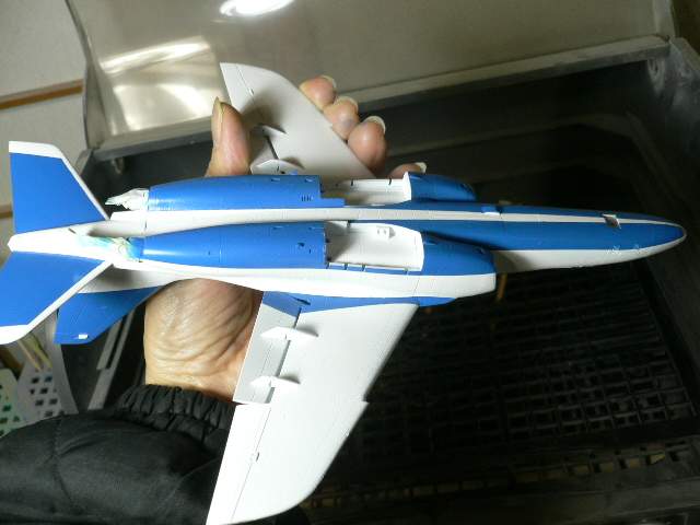 P1050051.jpg