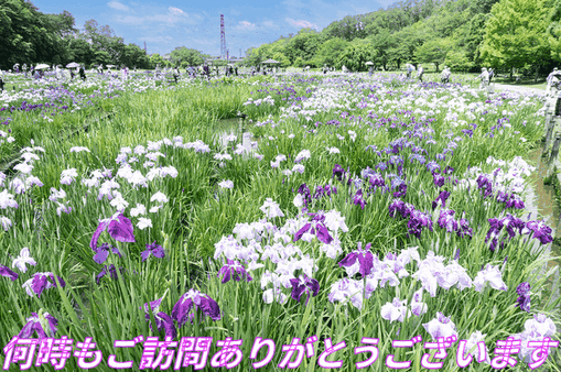 チューリップ・じゃがいも1本建て | じじくさい電気屋のブログ - 楽天ブログ