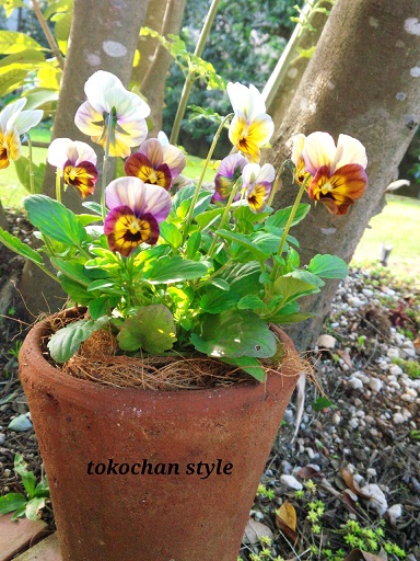 2014-11-14-09-05-11_deco.jpg