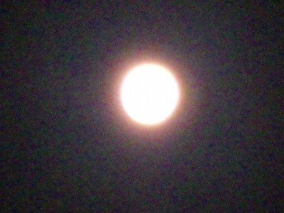 7月31日満月１.jpg