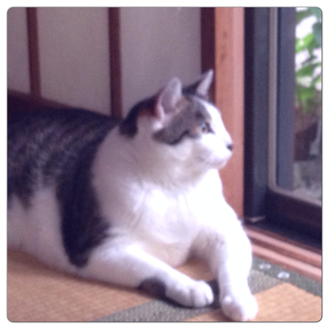 rblog-20130627010445-01.jpg