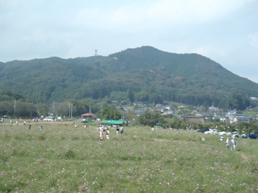 k6