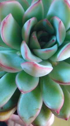 20140122153127.jpg