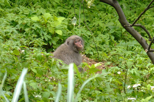 DSCF5472.jpg