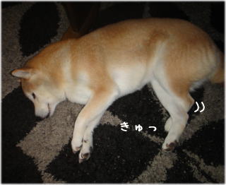 ラグ3.jpg