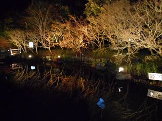 DSCN8659_R.JPG