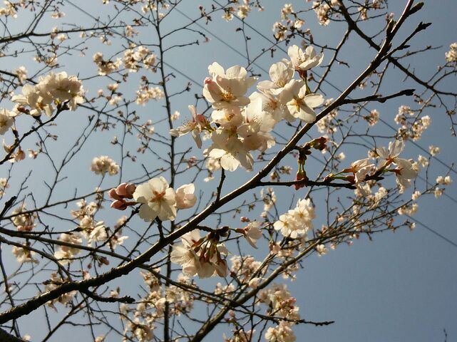 rblog-20140327225303-00.jpg