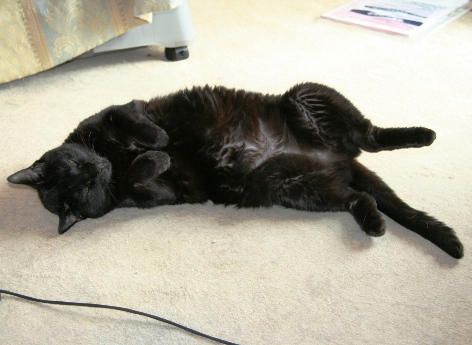 20120428ﾅﾅ.jpg