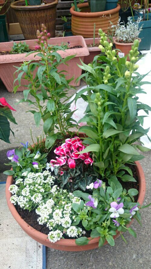 rblog-20161121115118-01.jpg