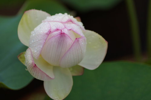 20140618_09.jpg